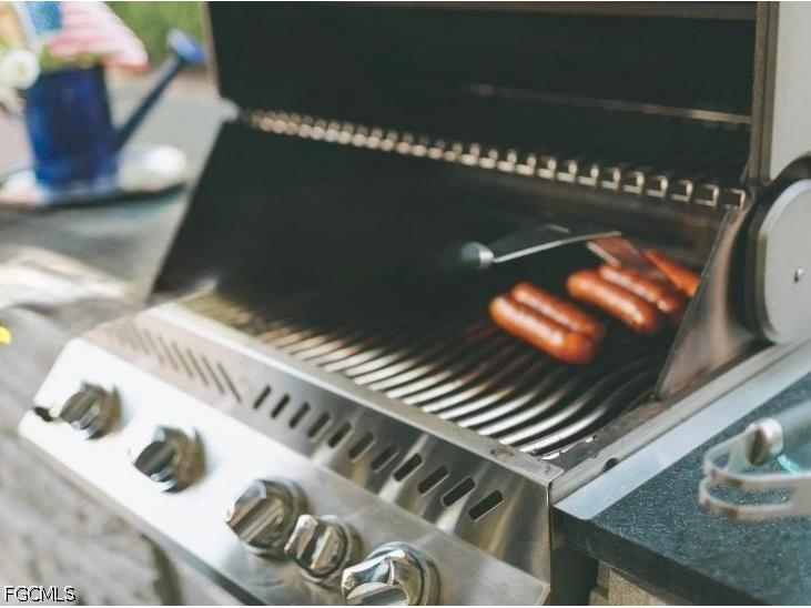 10536 Fountain Palm Circle Bokeelia FL 33922 2026014065 image35