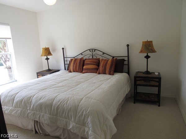 10537 Washingtonia Palm Way #4126 Fort Myers FL 33966 2026015143 image19