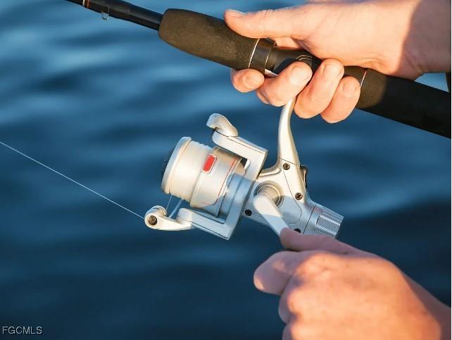 10538 Fountain Palm Circle Bokeelia FL 33922 2025023279 image26