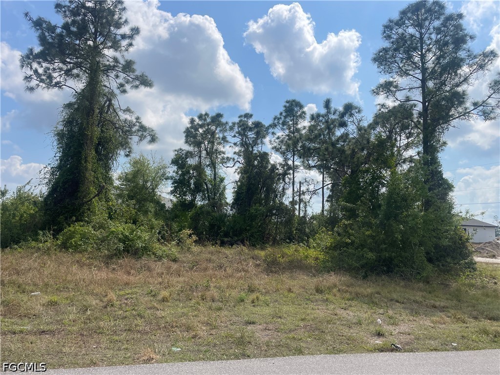 1054/1056 Albert Ave Lehigh Acres FL 33971 2026018948 image3