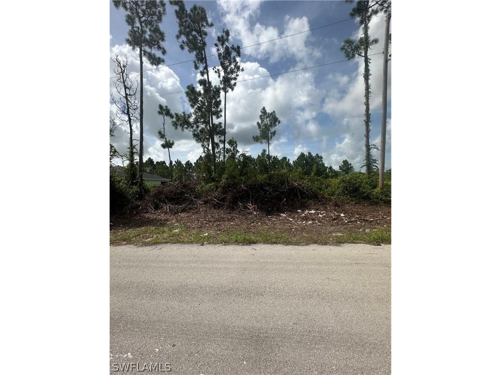 1054 Coleridge Street Lehigh Acres FL 33974 224063306 image1