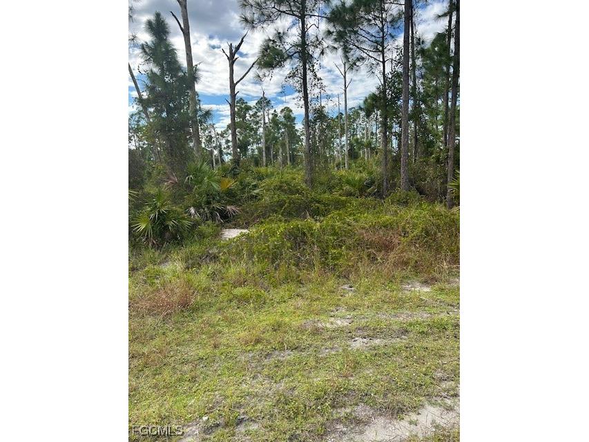 1054 Manta Avenue S Lehigh Acres FL 33974 225012050 image3