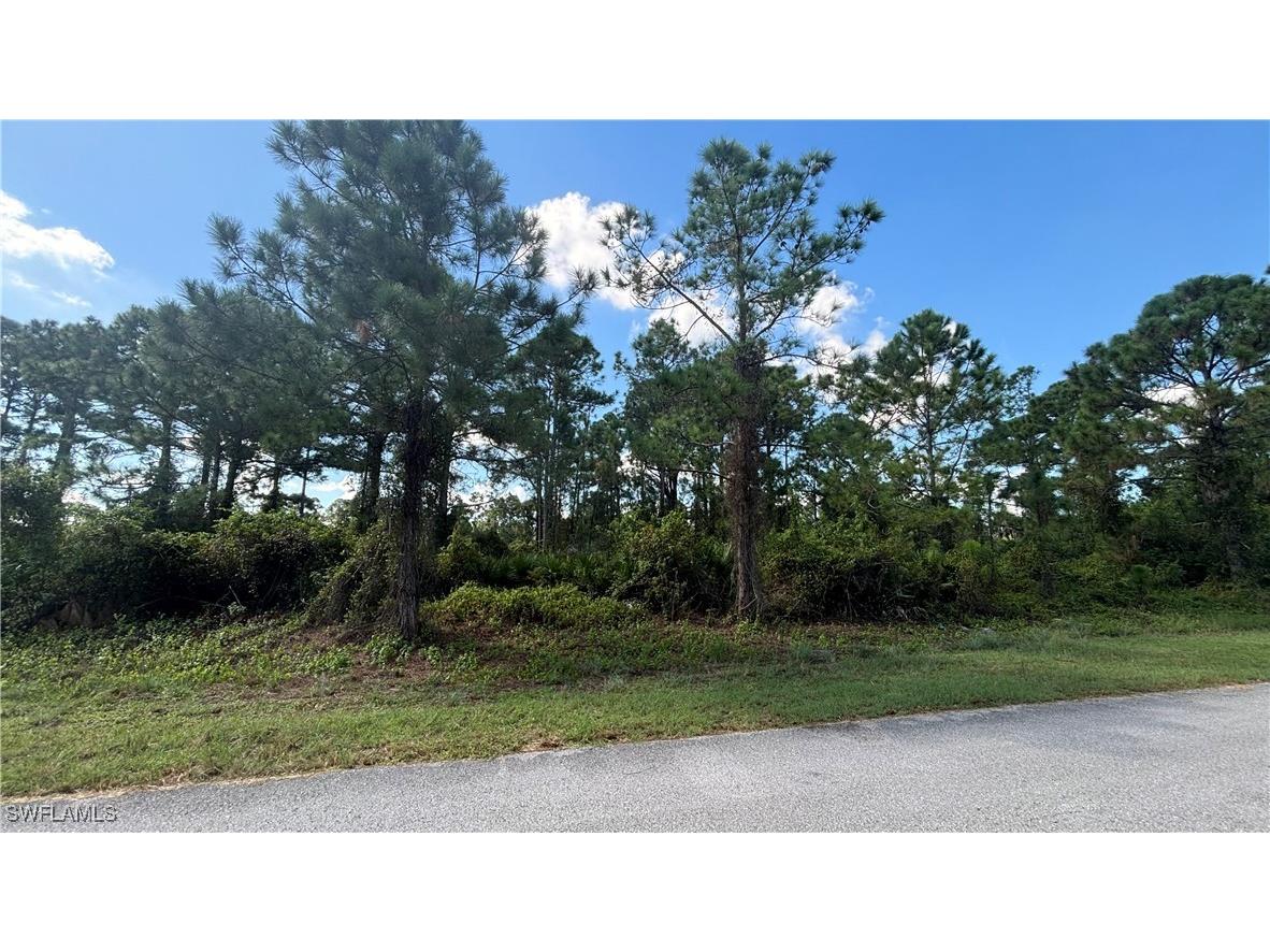 1054 Venture Street Lehigh Acres FL 33974 224077853 image1