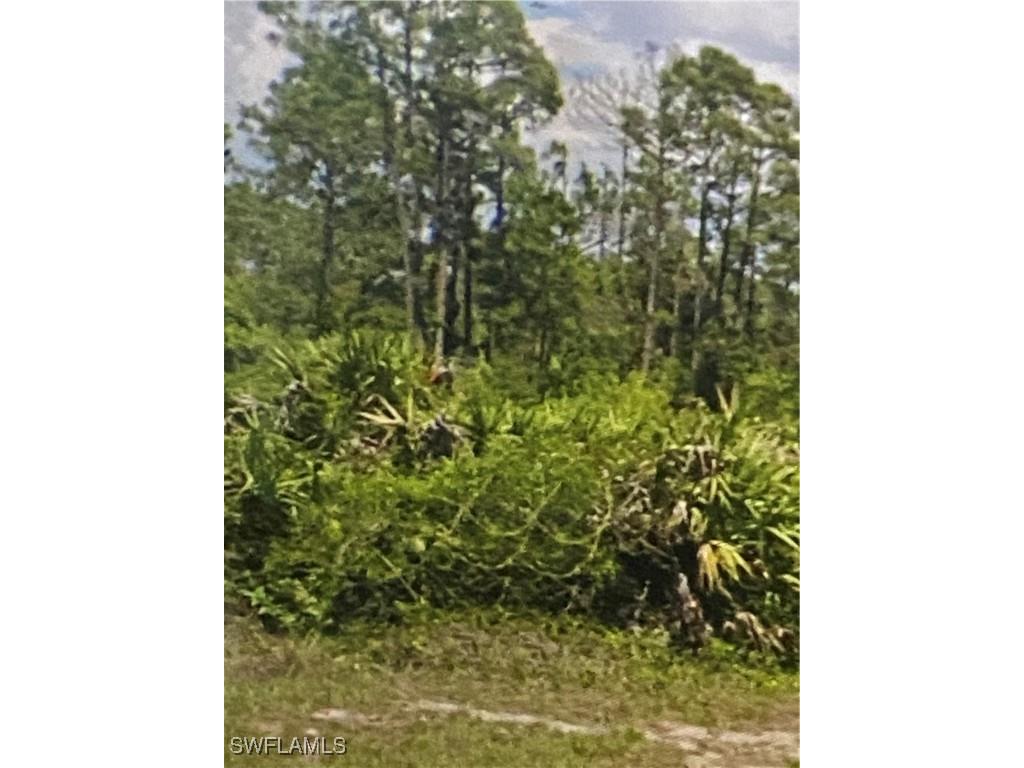 1055 Harwood Avenue S Lehigh Acres FL 33974 225077805 image2