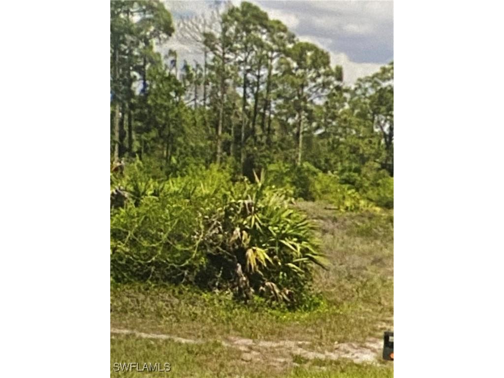 1055 Harwood Avenue S Lehigh Acres FL 33974 225077805 image3