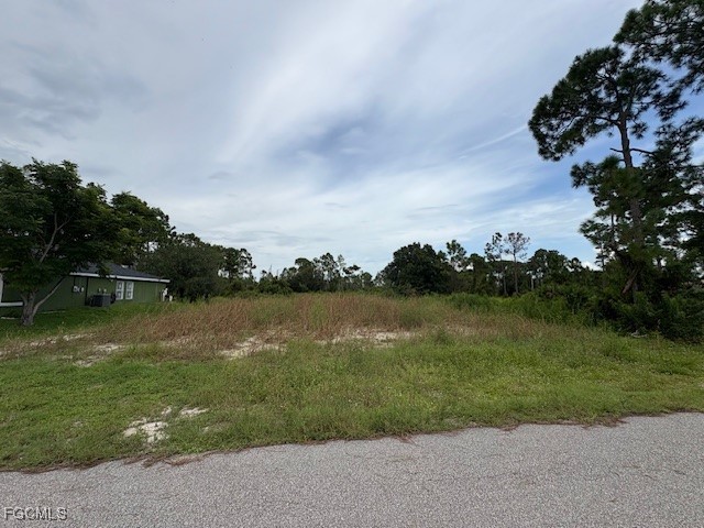 1055 Manta Avenue S Lehigh Acres FL 33974 2025008121 image2