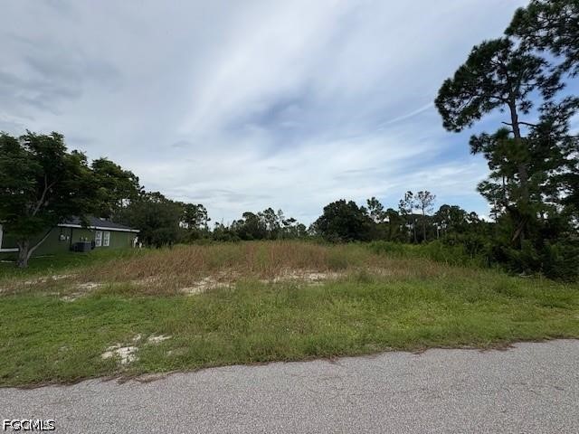 1055 Manta Avenue S Lehigh Acres FL 33974 2026025272 image2