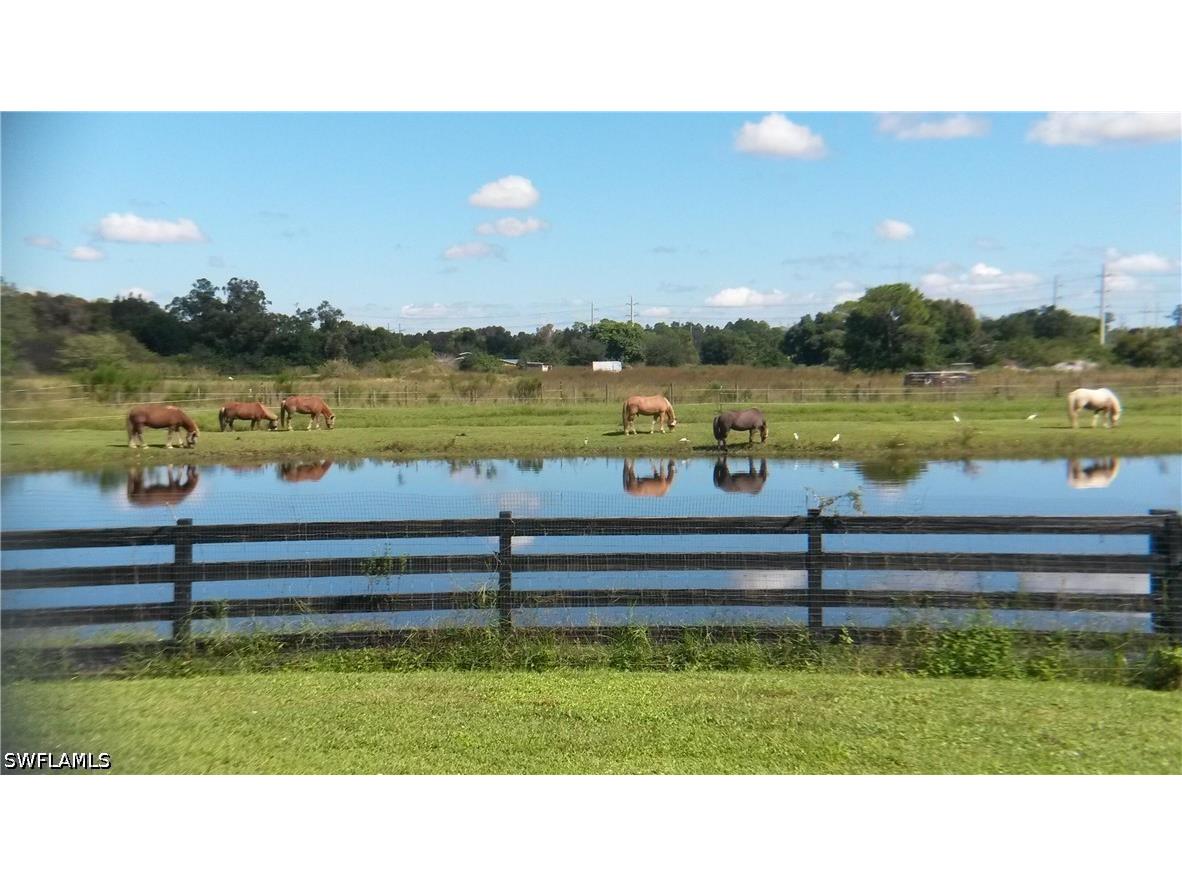 10551 Deal Road North Fort Myers FL 33917 226016224 image18