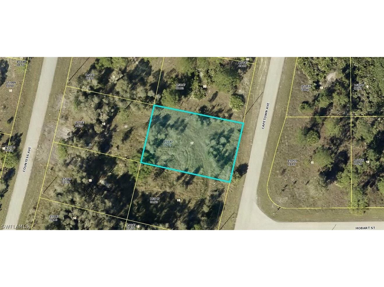 1056 Capetown Avenue Lehigh Acres FL 33974 224038617 image1