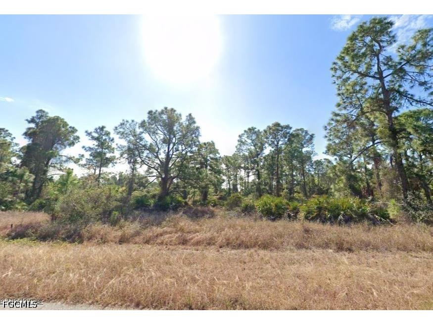 1056 Grove Street E Lehigh Acres FL 33974 2026026969 image1