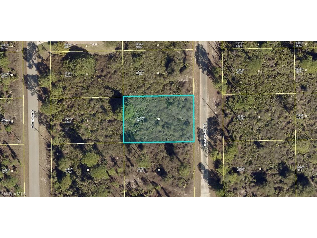 1056 Mansion Avenue S Lehigh Acres FL 33974 222078030 image1