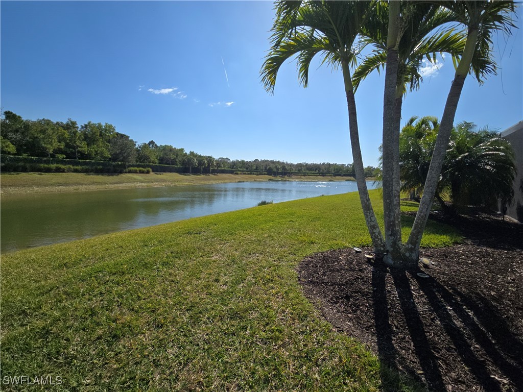 10565 Pistoia Drive Fort Myers FL 33913 226003476 image32