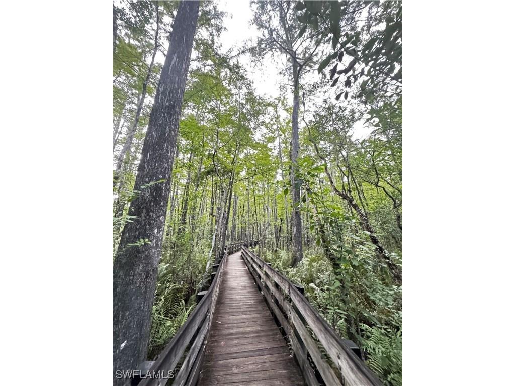 10581 Ben C Pratt/6 Mile Cypress Parkway Fort Myers FL 33966 223095364 image1