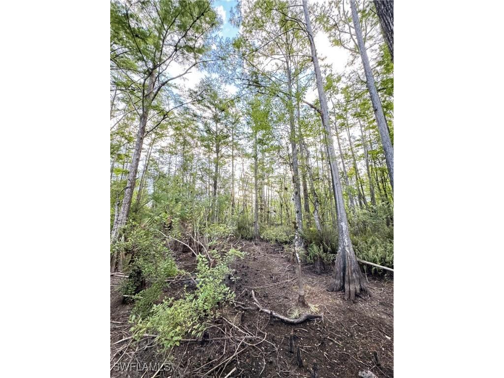 10581 Ben C Pratt/6 Mile Cypress Parkway Fort Myers FL 33966 223095364 image12