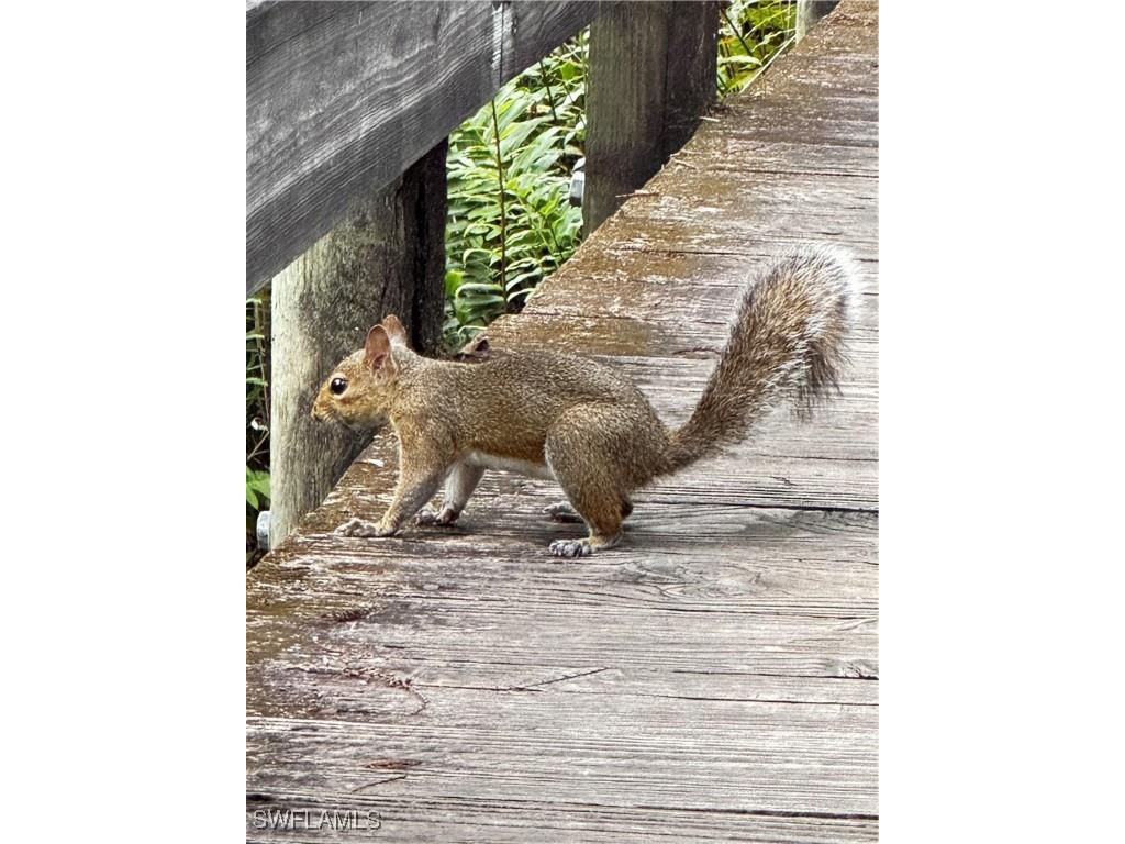 10581 Ben C Pratt/6 Mile Cypress Parkway Fort Myers FL 33966 223095364 image13