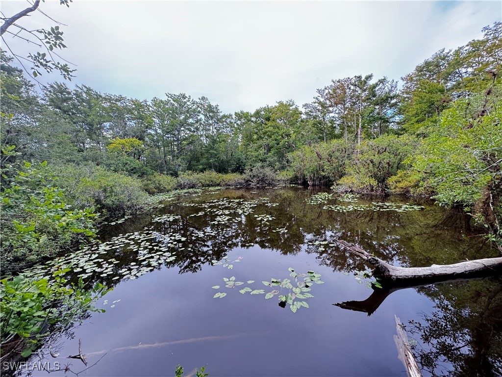 10581 Ben C Pratt/6 Mile Cypress Parkway Fort Myers FL 33966 223095364 image3