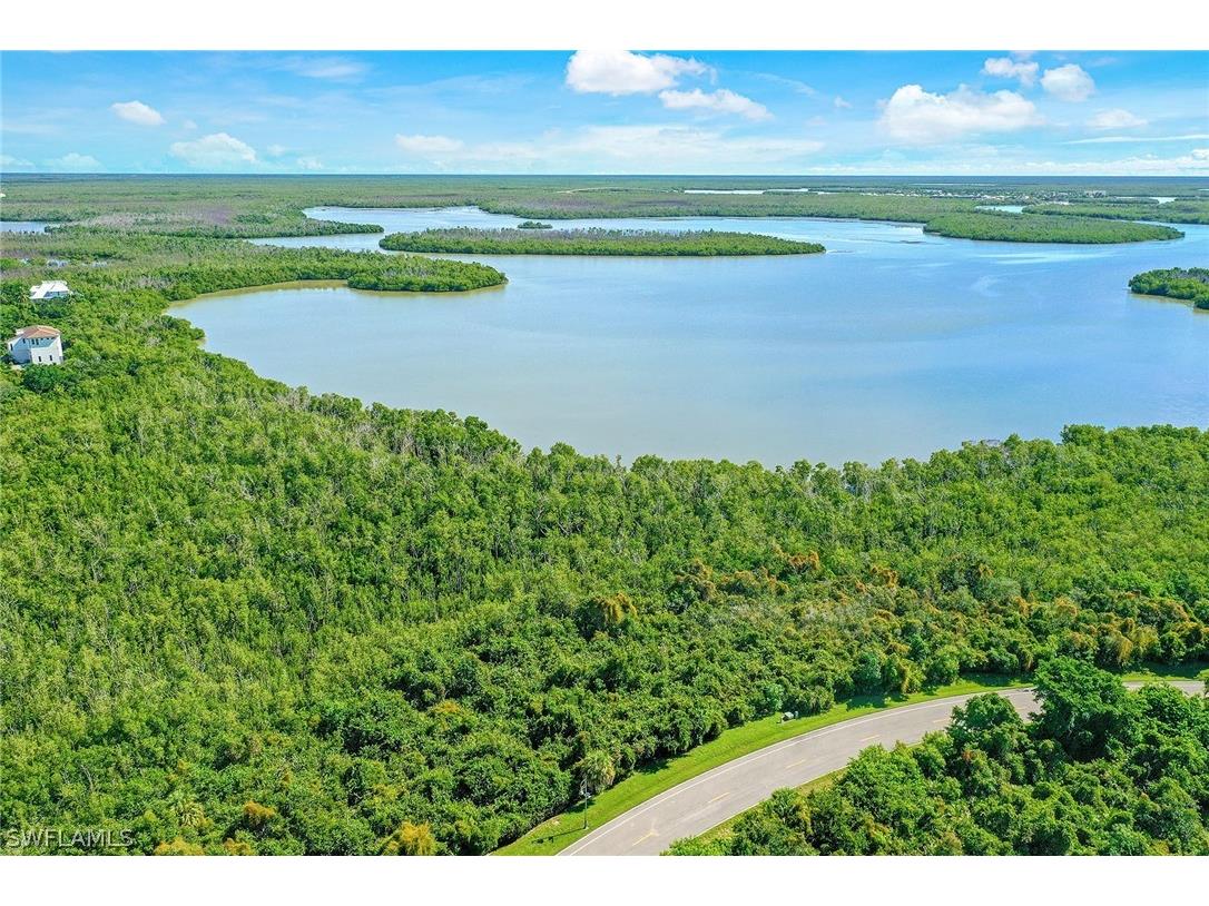 1059 Blue Hill Creek Drive Marco Island FL 34145 222065674 image1