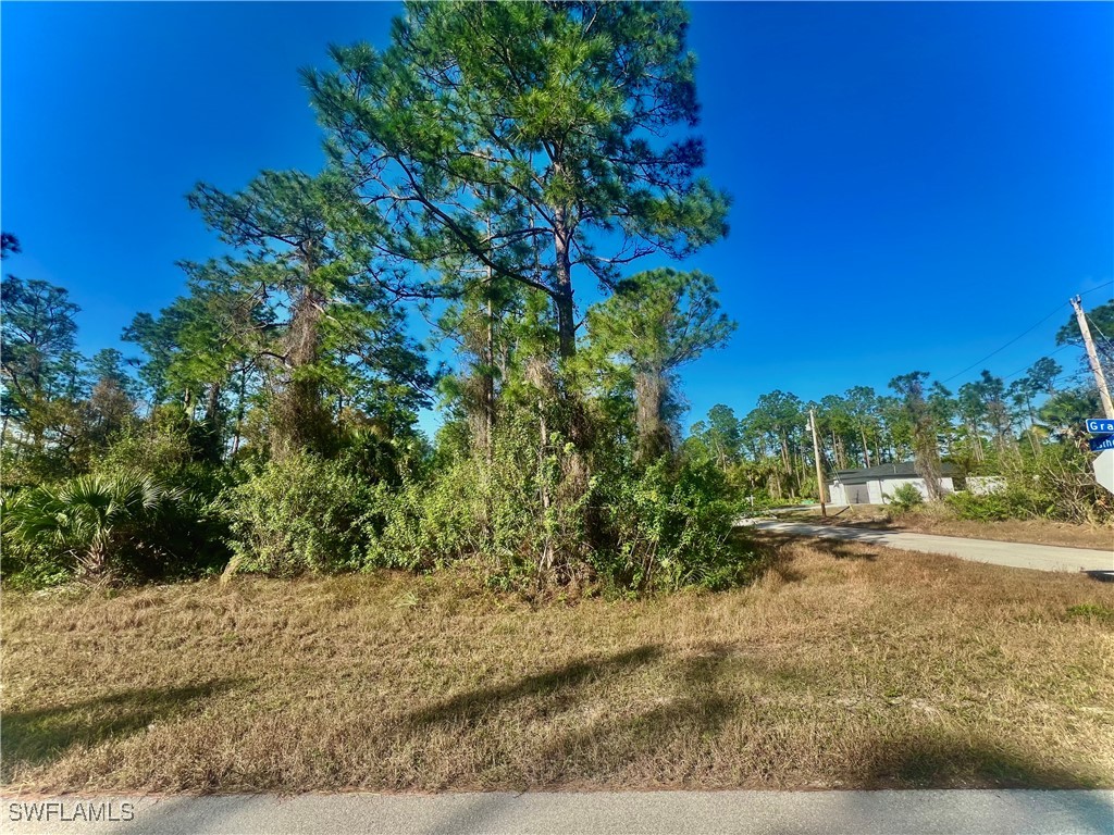 1060 Asther Street E Lehigh Acres FL 33974 225013102 image1