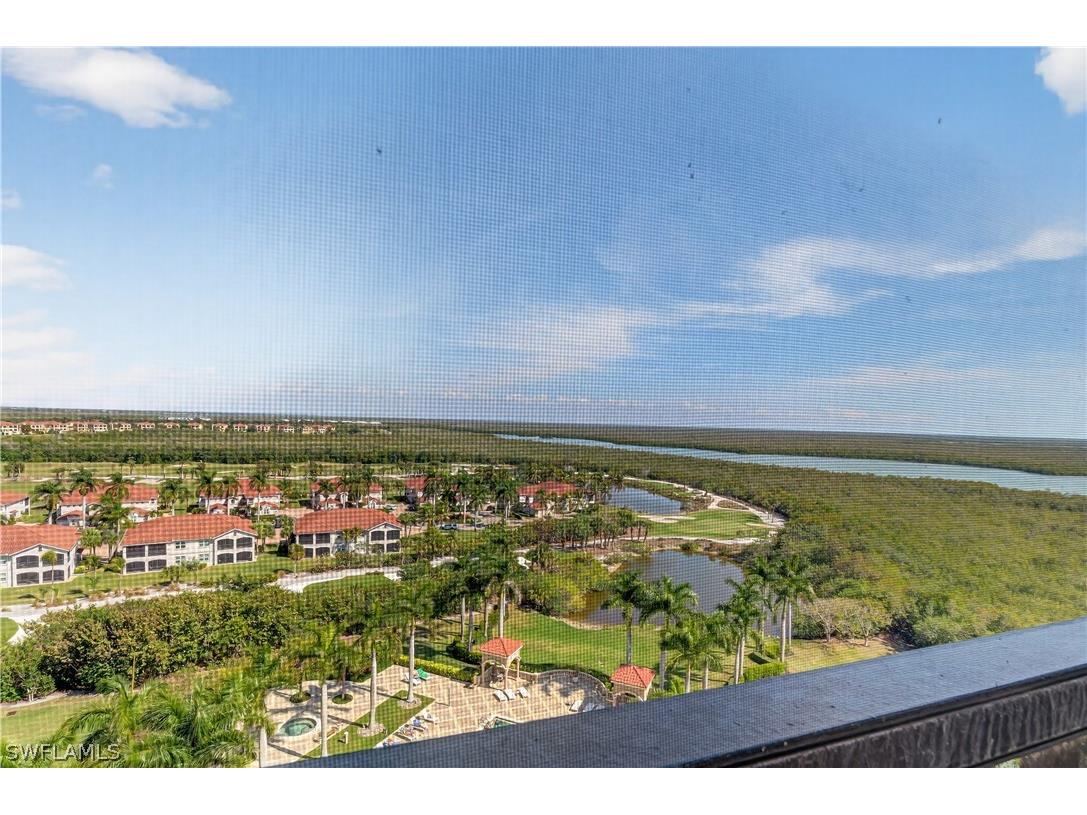 1060 Borghese Lane #1005 Naples FL 34114 226007465 image47