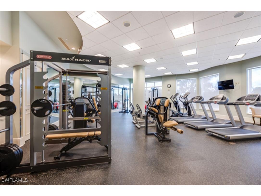 1060 Borghese Lane #206 Naples FL 34114 225078080 image39