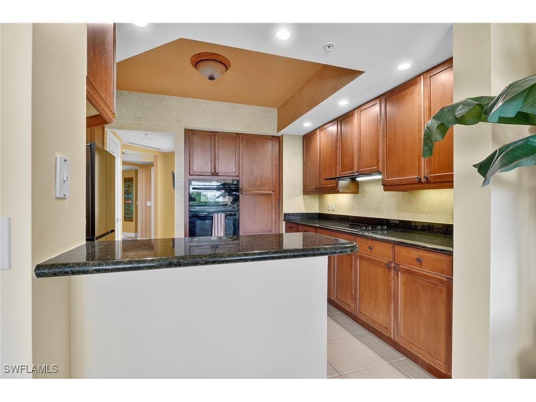 1060 Borghese Lane #403 Naples FL 34114 225073322 image18