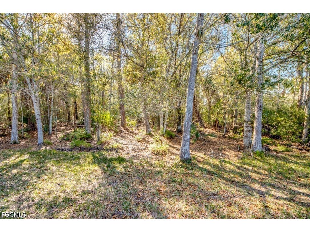 10600 Tirano Court Fort Myers FL 33913 2026019976 image39