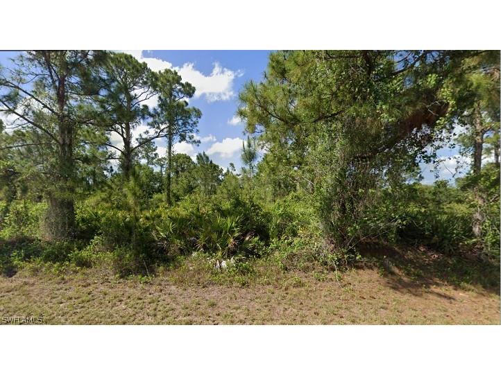 1063 Binkley Street E Lehigh Acres FL 33974 223005348 image1