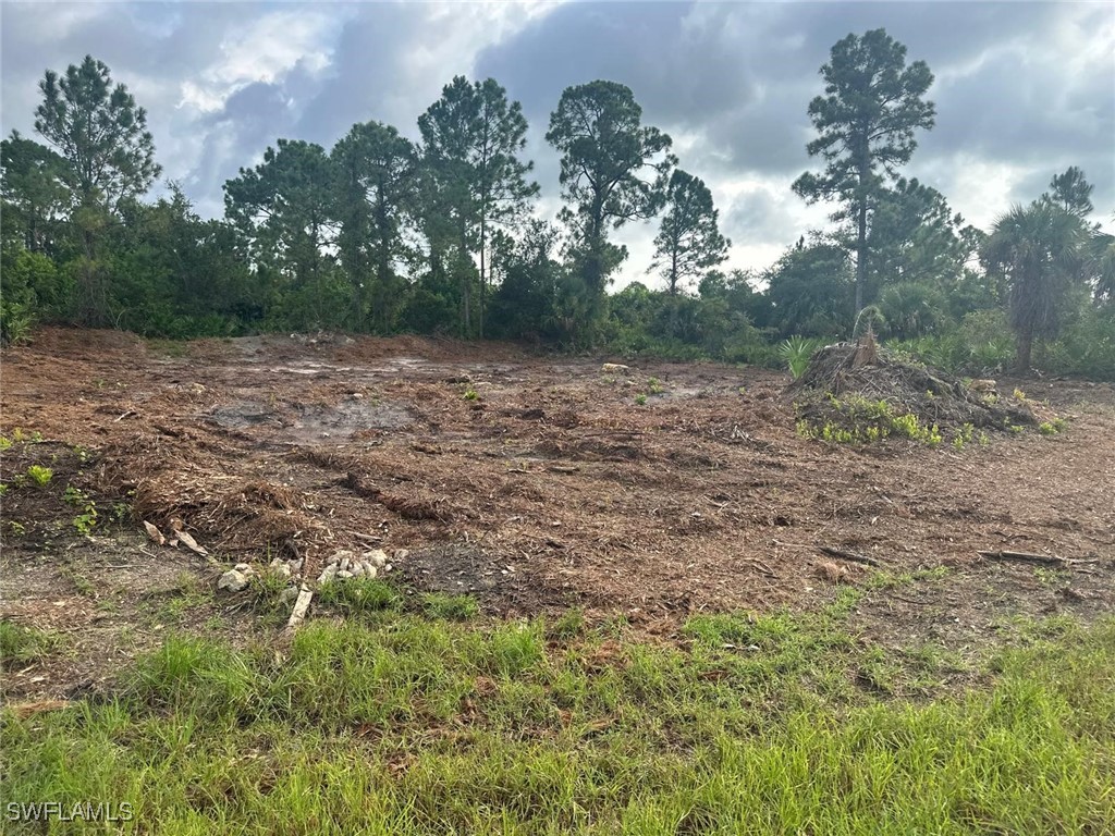 1063 Binkley Street E Lehigh Acres FL 33974 224065333 image2