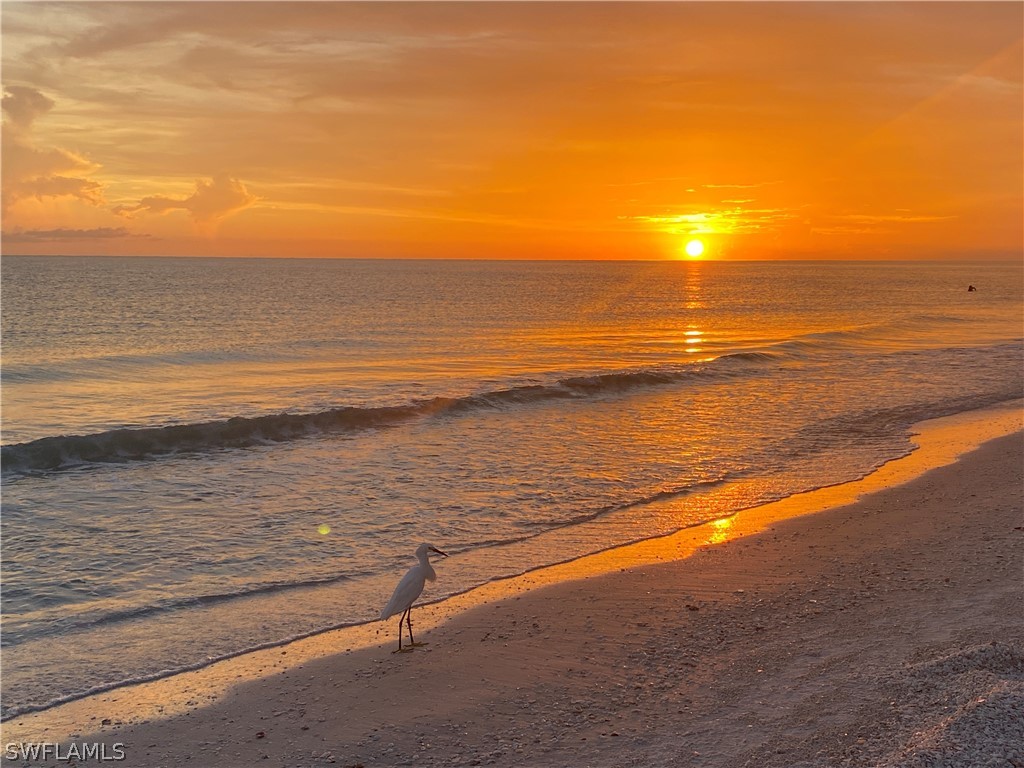 1063 Whiteheart Court Marco Island FL 34145 226009777 image16