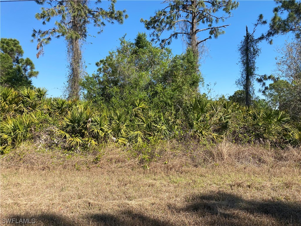 1065 Barcelona Street E Lehigh Acres FL 33974 223016151 image1