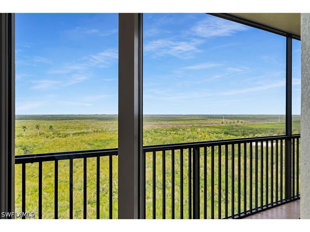 1065 Borghese Lane #1003 Naples FL 34114 226015412 image16