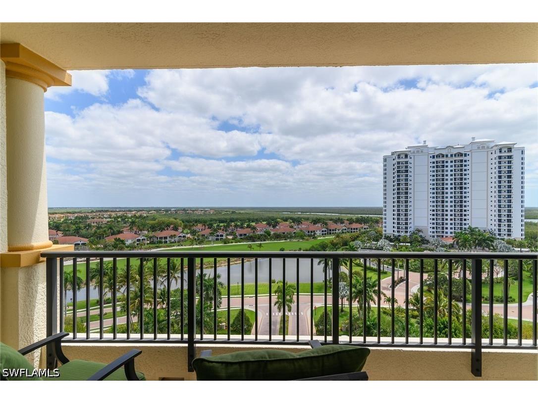 1065 Borghese Lane #1003 Naples FL 34114 226015412 image30