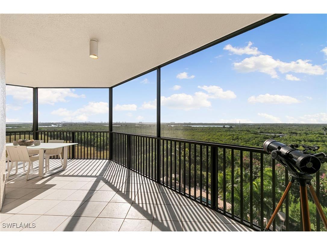 1065 Borghese Lane #701 Naples FL 34114 225084534 image40