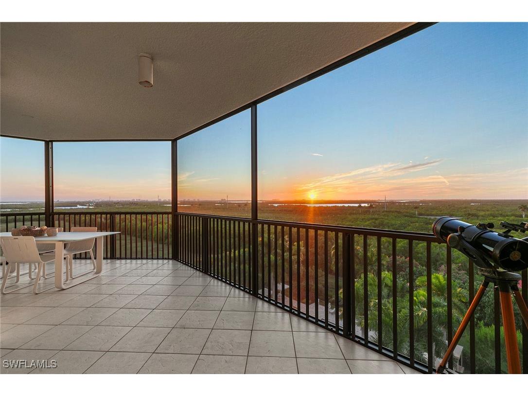 1065 Borghese Lane #701 Naples FL 34114 225084534 image44