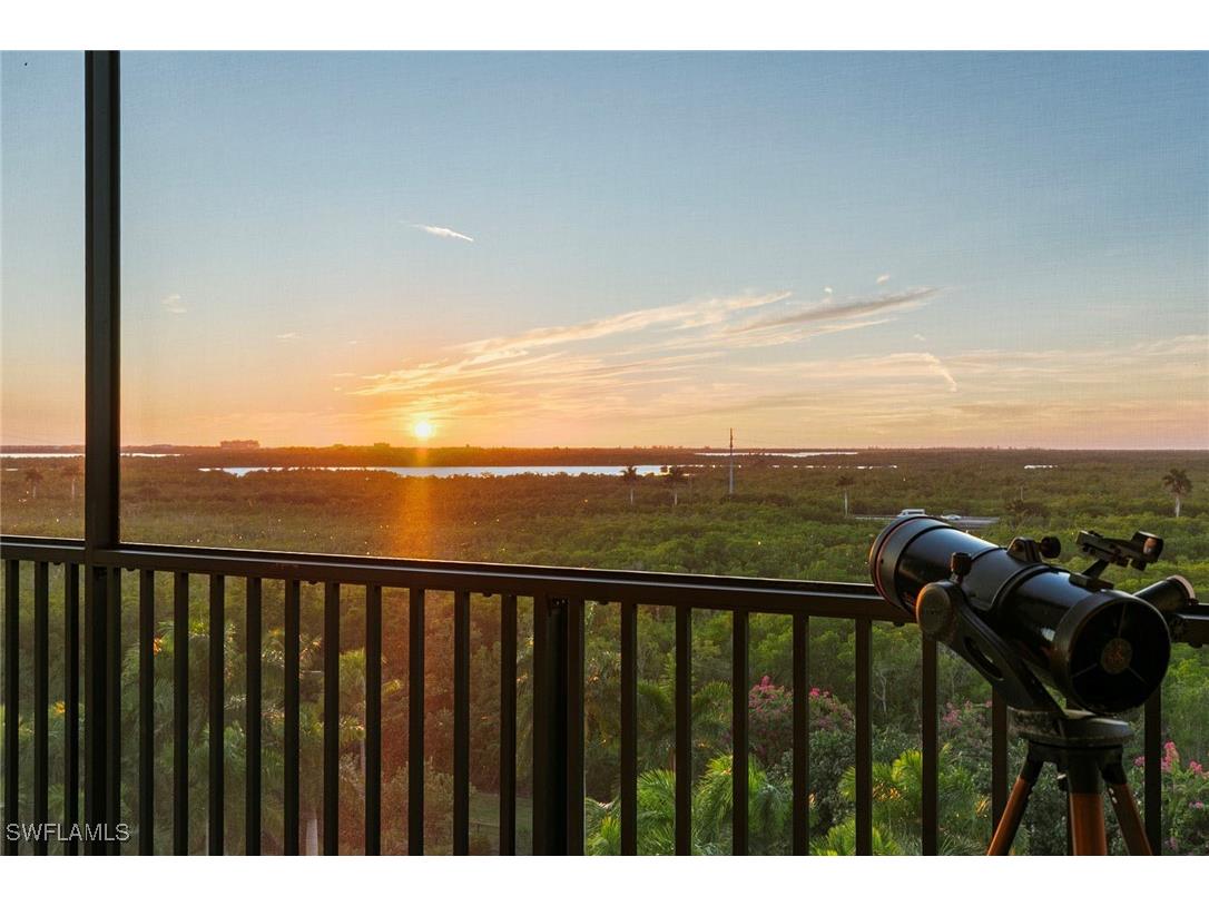 1065 Borghese Lane #701 Naples FL 34114 225084534 image45