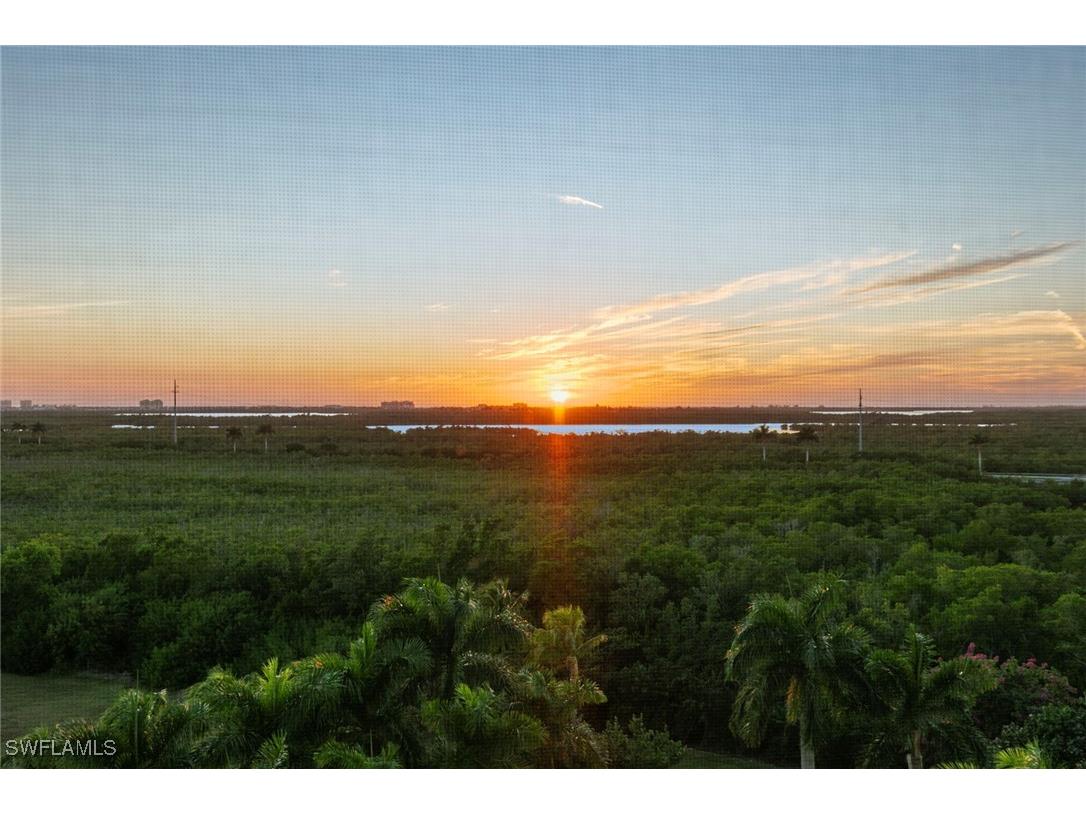 1065 Borghese Lane #701 Naples FL 34114 225084534 image47