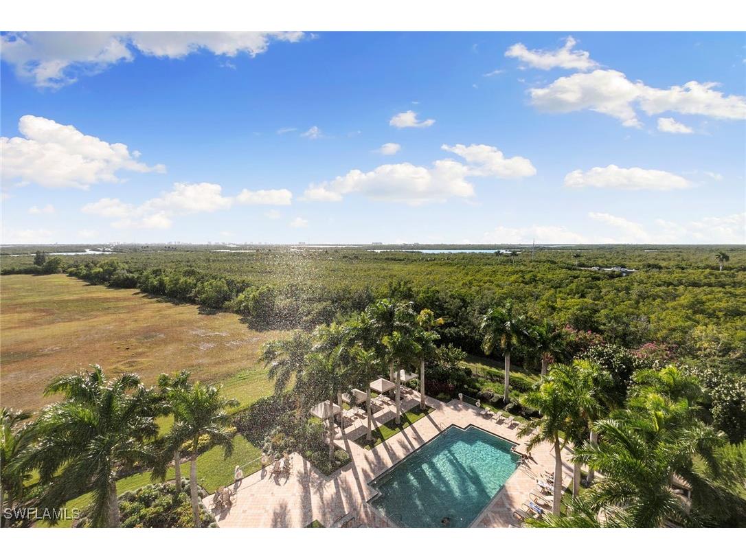 1065 Borghese Lane #701 Naples FL 34114 225084534 image50