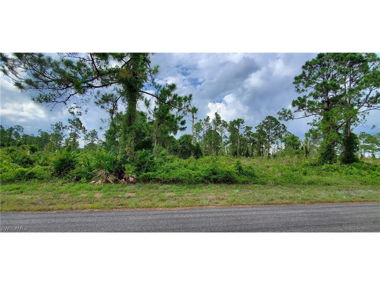 1065 Manning Street E Lehigh Acres FL 33974 223045360 image1