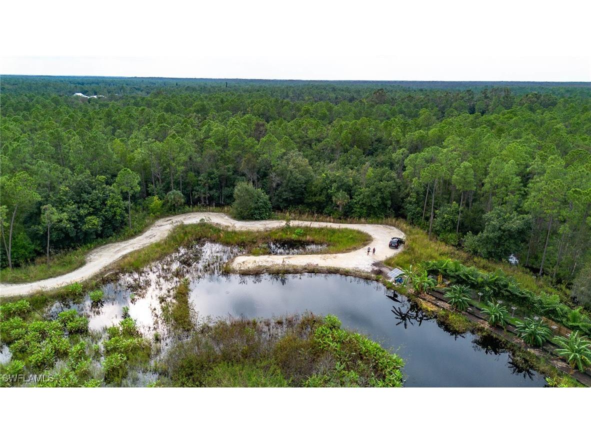 1065 Sanctuary Road Naples FL 34120 225078294 image8