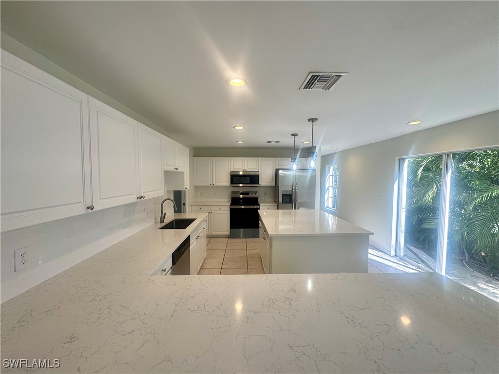 10650 Ragsdale Street Bonita Springs FL 34135 226004208 image4