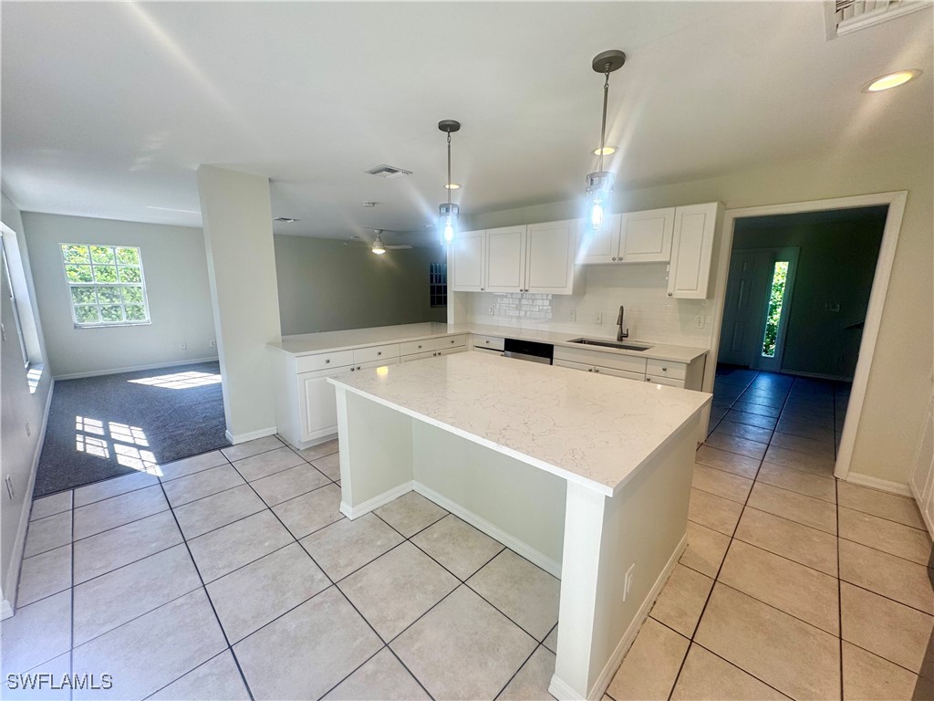 10650 Ragsdale Street Bonita Springs FL 34135 226004208 image5