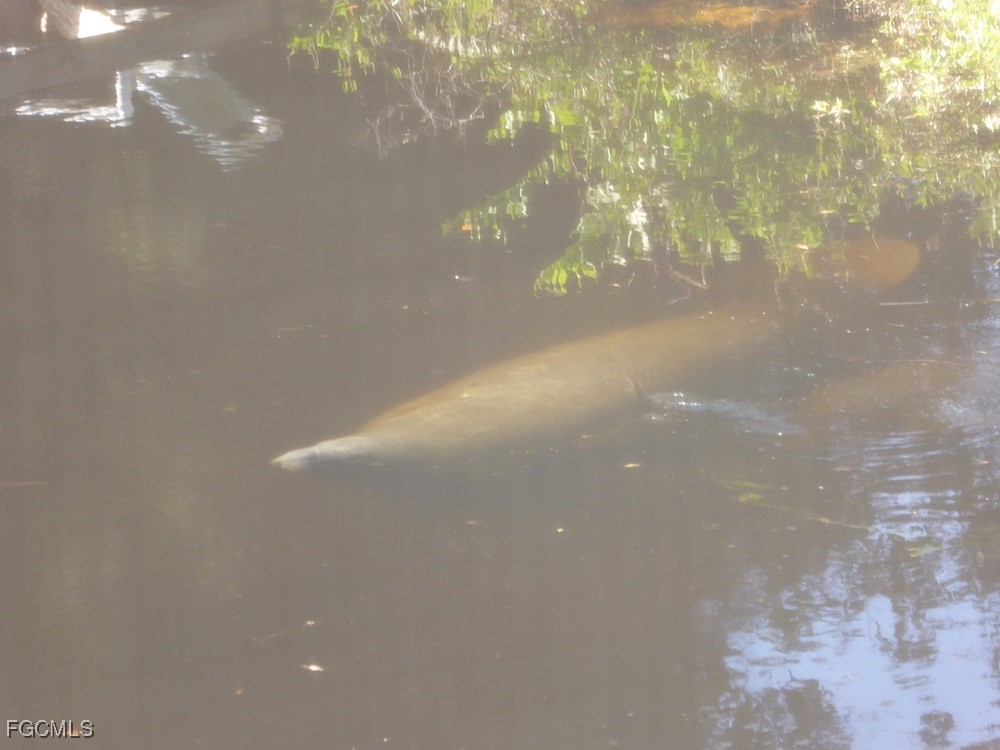 10690 Goodwin Street Bonita Springs FL 34135 2025022942 image13