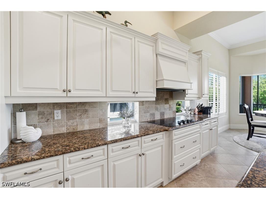 10698 Mirasol Drive #903 Miromar Lakes FL 33913 226018843 image13