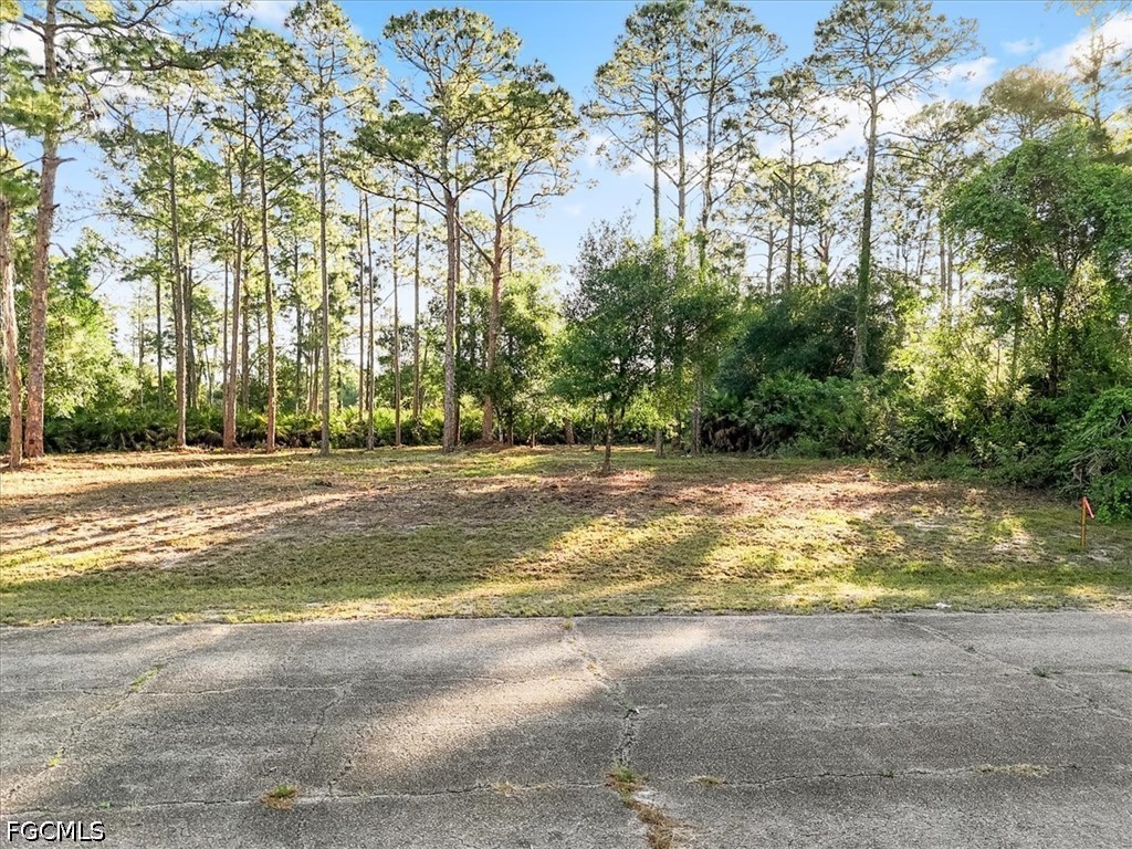 107 Rosemont Place Labelle FL 33935 2026024296 image1