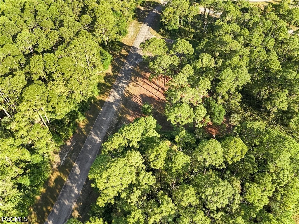 107 Rosemont Place Labelle FL 33935 2026024296 image13