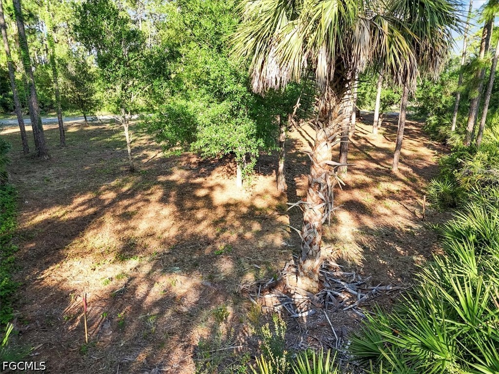 107 Rosemont Place Labelle FL 33935 2026024296 image20