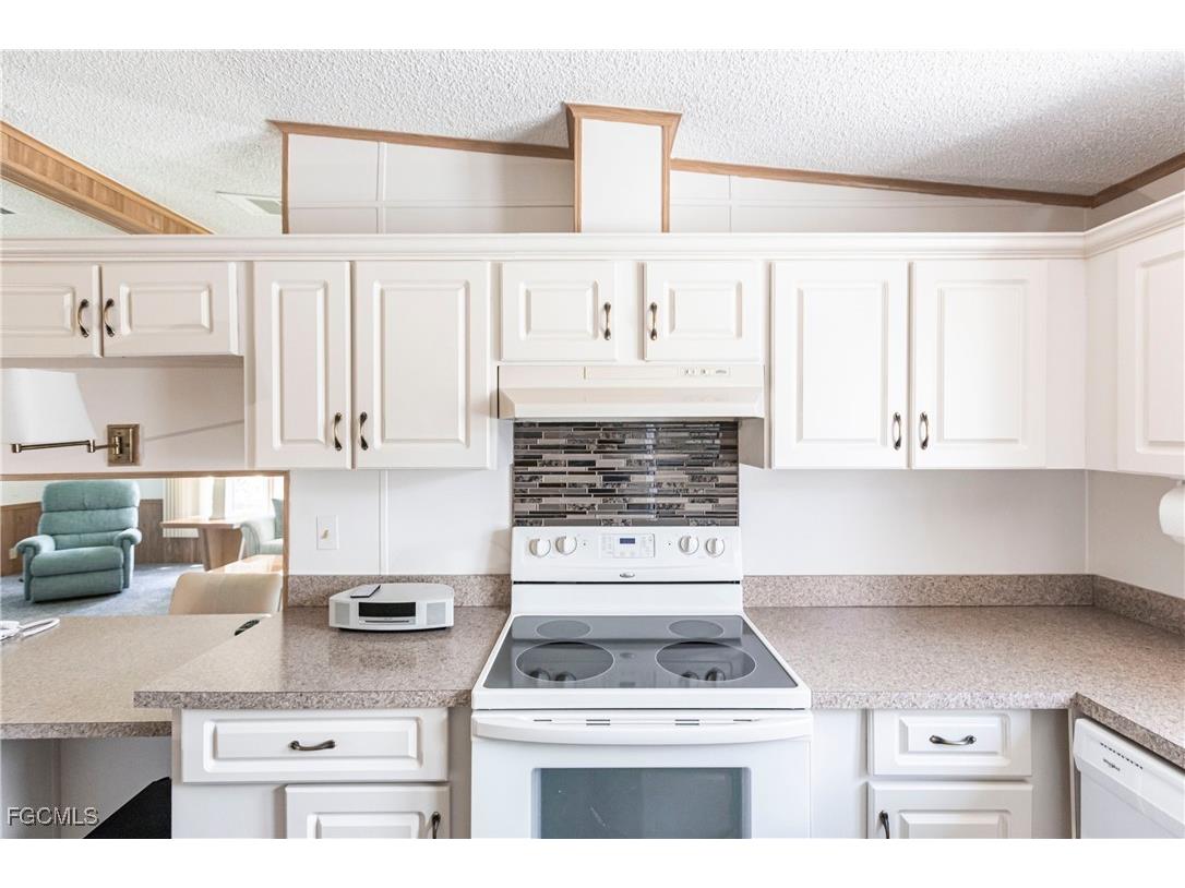 10716 Timber Pines Court North Fort Myers FL 33903 2025006573 image9