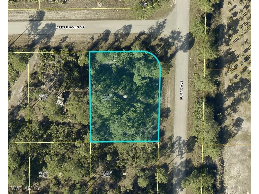 1072 Cresthaven Street Lehigh Acres FL 33974 225041724 image1