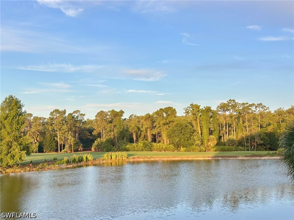 10720 Ravenna Way #204 Fort Myers FL 33913 226016766 image8