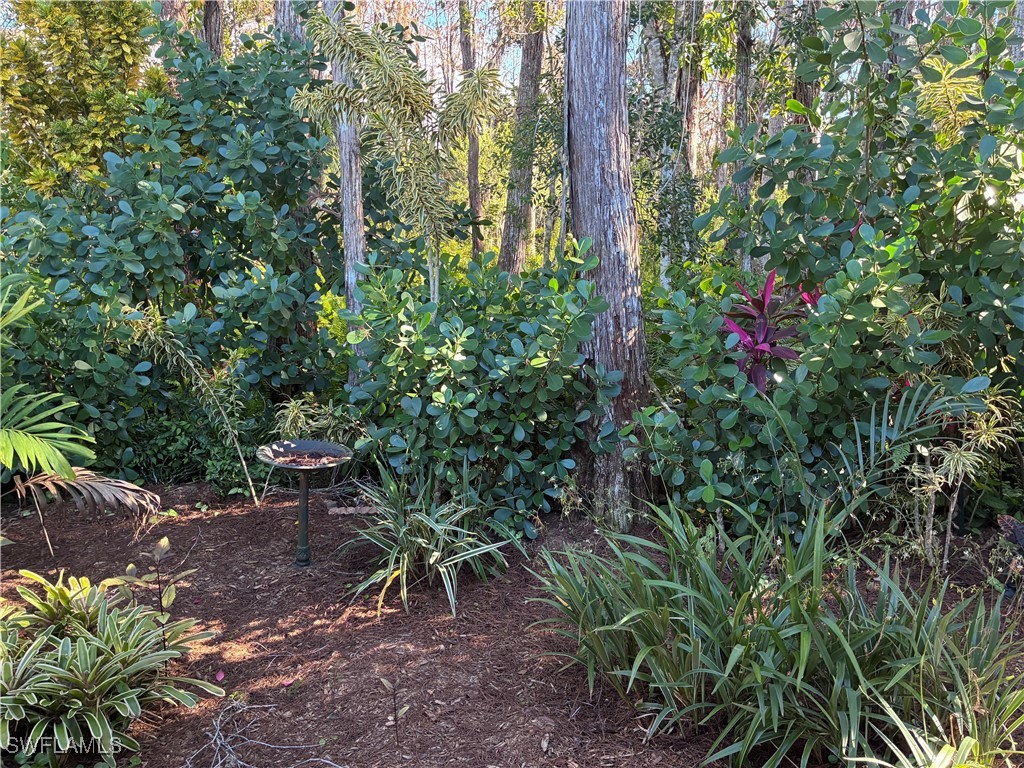 10727 Maui Circle Estero FL 33928 226001480 image3